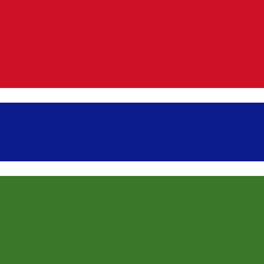 Government of The Gambia - Capacity building on Gender and Trade