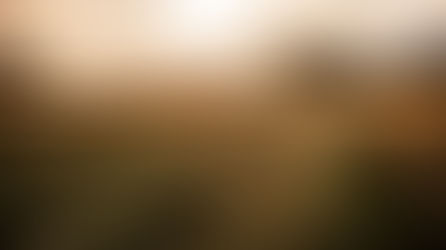 Learning to Read the Seasons God Has Given Us