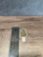 Morel mushroom sticker with a ruler on the left side showing the sticker measuring at 2.5 inches.