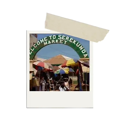 Untitled design (24) (1).png