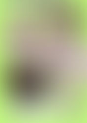 3月マンスリーライブのお知らせ