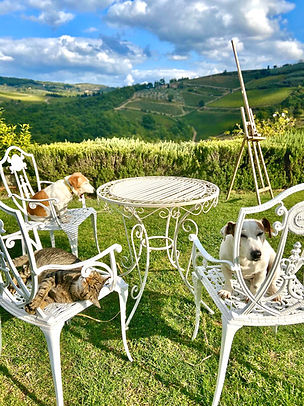Alpacas and farm animals roaming freely at Rignana Estate organic property in Tuscany