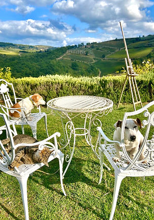 Alpacas and farm animals roaming freely at Rignana Estate organic property in Tuscany