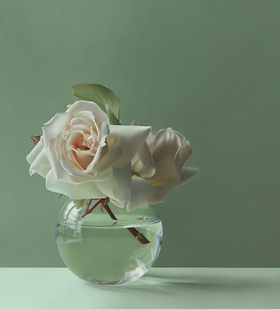 Screenshot 2026-04-20 at 14.21.28.png