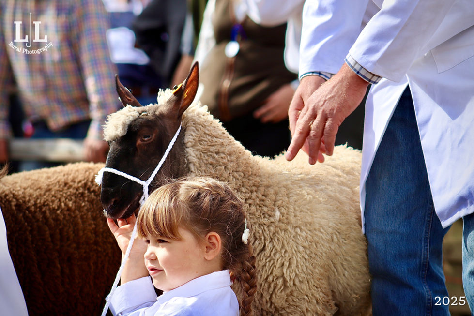 Photo 02-09-2025, 5 15 26 pm (37)