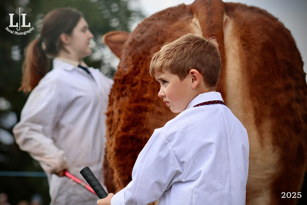 Photo 02-09-2025, 5 15 25 pm (25)