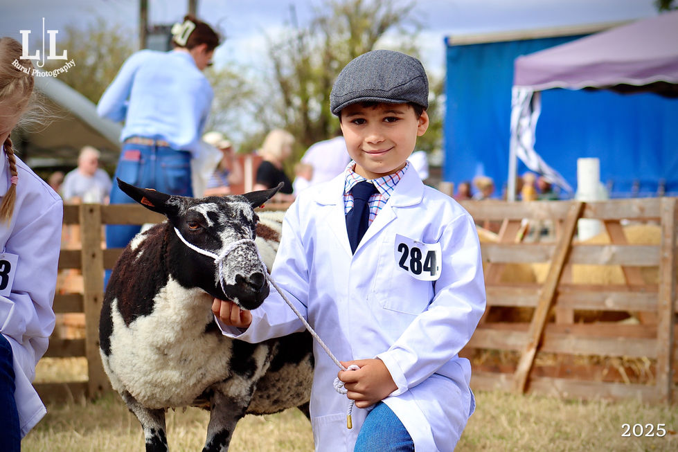 Photo 02-09-2025, 5 15 26 pm (16)