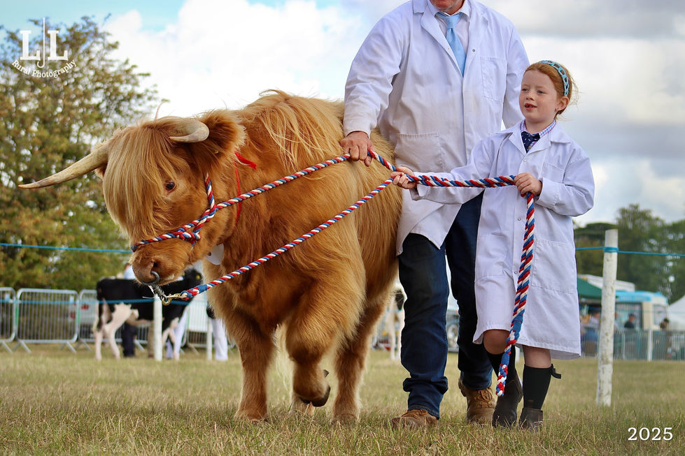 Photo 02-09-2025, 5 15 25 pm (10)