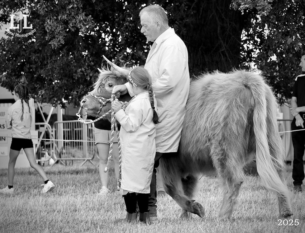 Photo 02-09-2025, 5 15 25 pm (4)