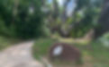 MacRitchie Lornie Trail