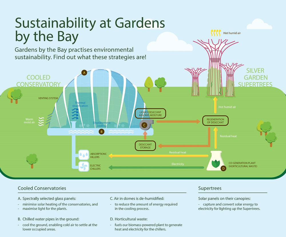 Sustainability practice at Gardens By The Bay