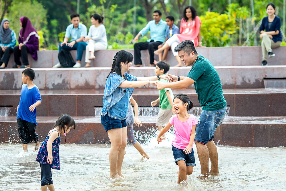 Clusia Cove