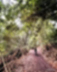 Mandai T15 trail, bikers