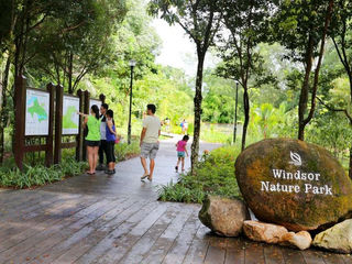 Top 5 National Parks in Singapore You Should Hike At