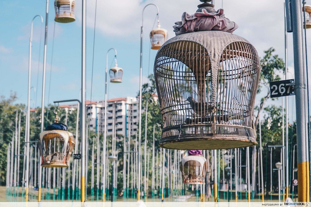Kebun Baru Bird Singing Club