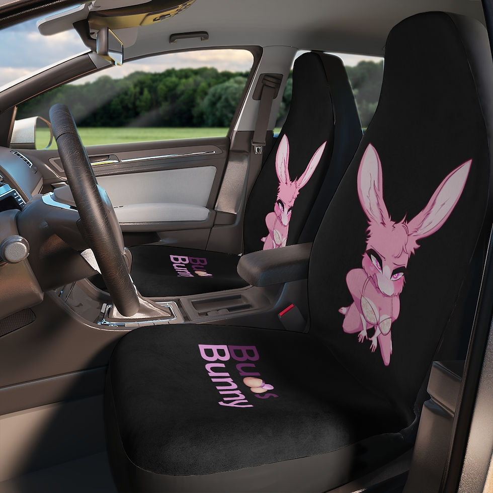Thumbnail: Black Car Seat Covers
