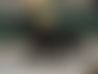 Rowansgaard Paint It Black