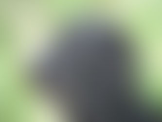 Windfall Que As Time Goes By                                                        