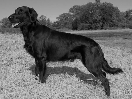 Paradise Play It Again Sam                                                        