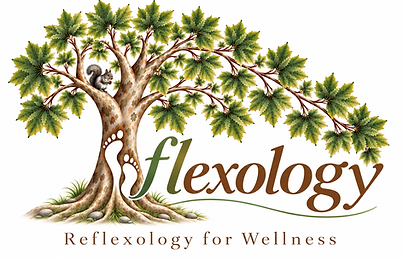 treeflexology logo.png