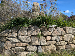 PXL_20261001_131023605