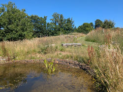 PXL_20260703_141133579