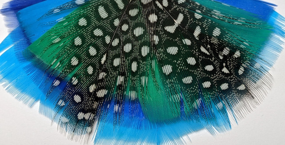 Miniaturbild: Blue Butterflies