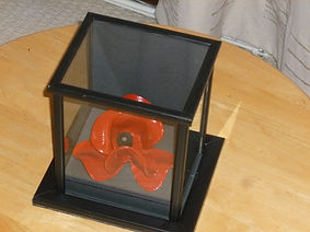 CERAMIC TOWER OF LONDON POPPY IN A BLACK DISPLAY CASE