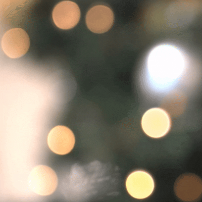 Untitled design (6).gif