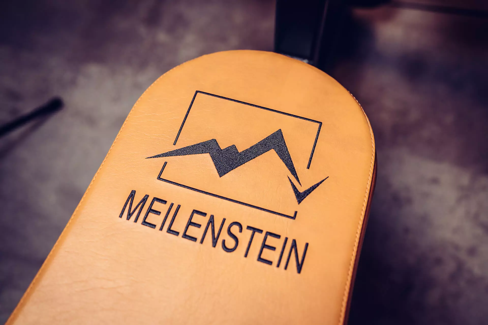 Meilenstein Logo