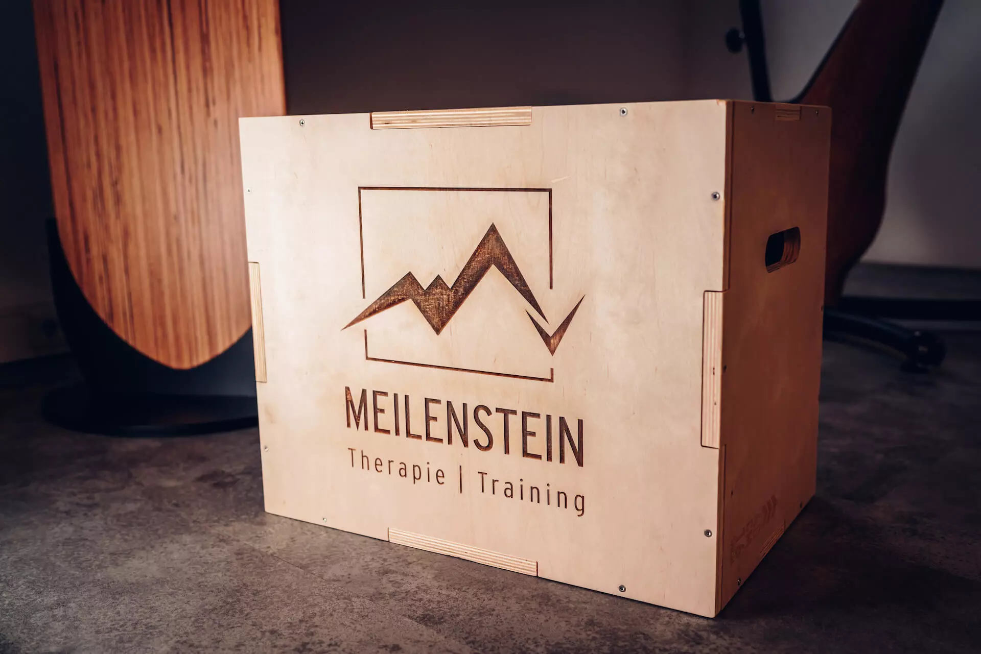 AnyConv.com__Meilenstein Therapie & Training 30.12.22-081.webp
