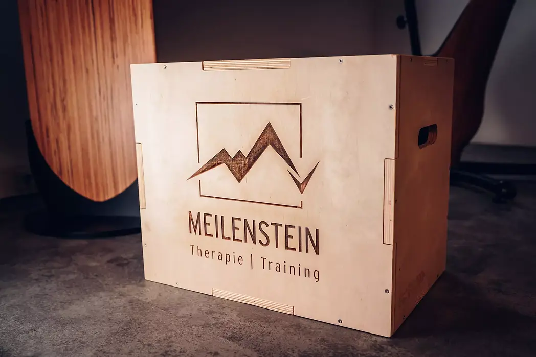 Meilenstein Therapie I Training