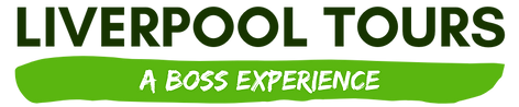 🟢Elementos identidad web (1).png