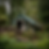 lovecraft2021_There_was_a_shed_still_standing_its_green_fibergl_d3755937-df3b-49b5-bf8d-73