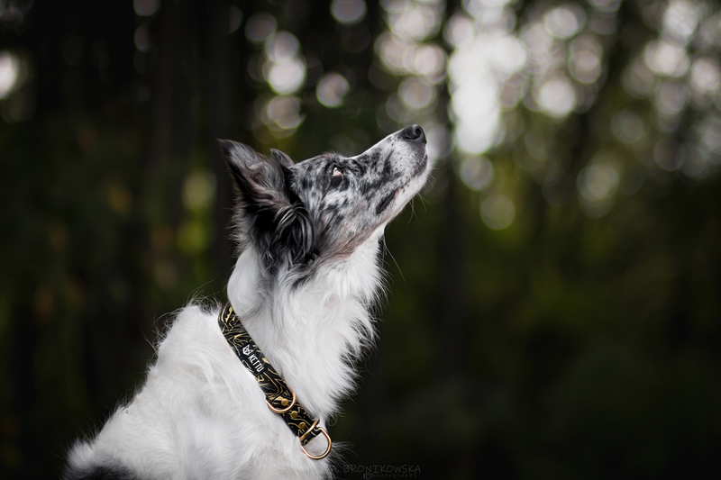 _MG_3797-2aa.png