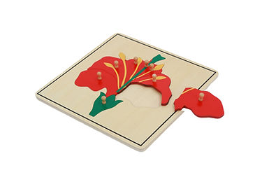 WhatsApp Image 2025-01-12 at 12.03_edited.jpg