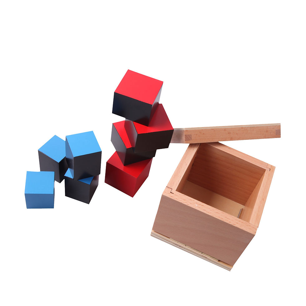 תמונה ממוזערת: קוביה בינומיאלית Binomial Cube