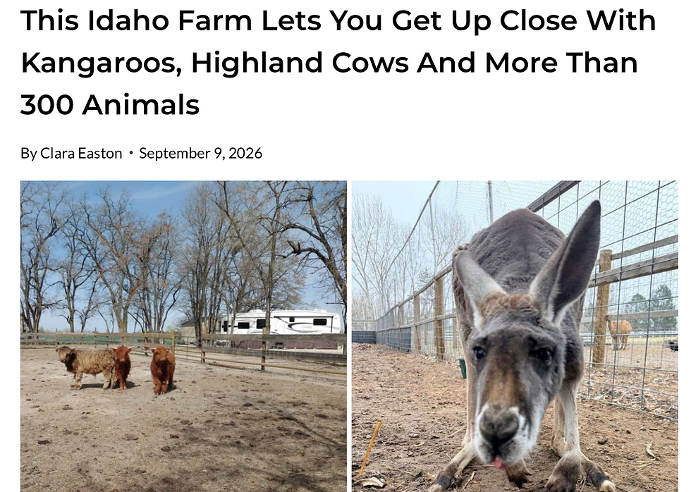 Someone Took Notice of Our Little Idaho Farm