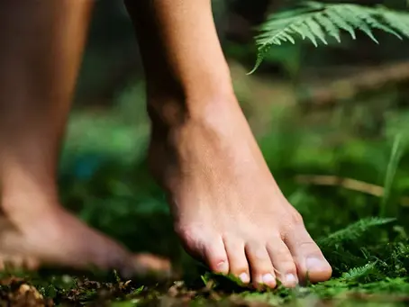 You're Grounded!  But In A Good Way.