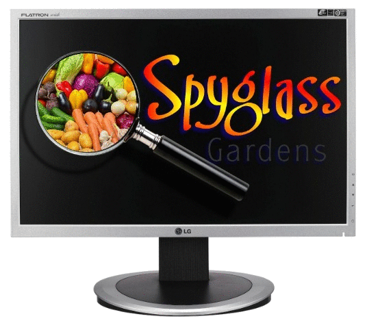 Spyglass