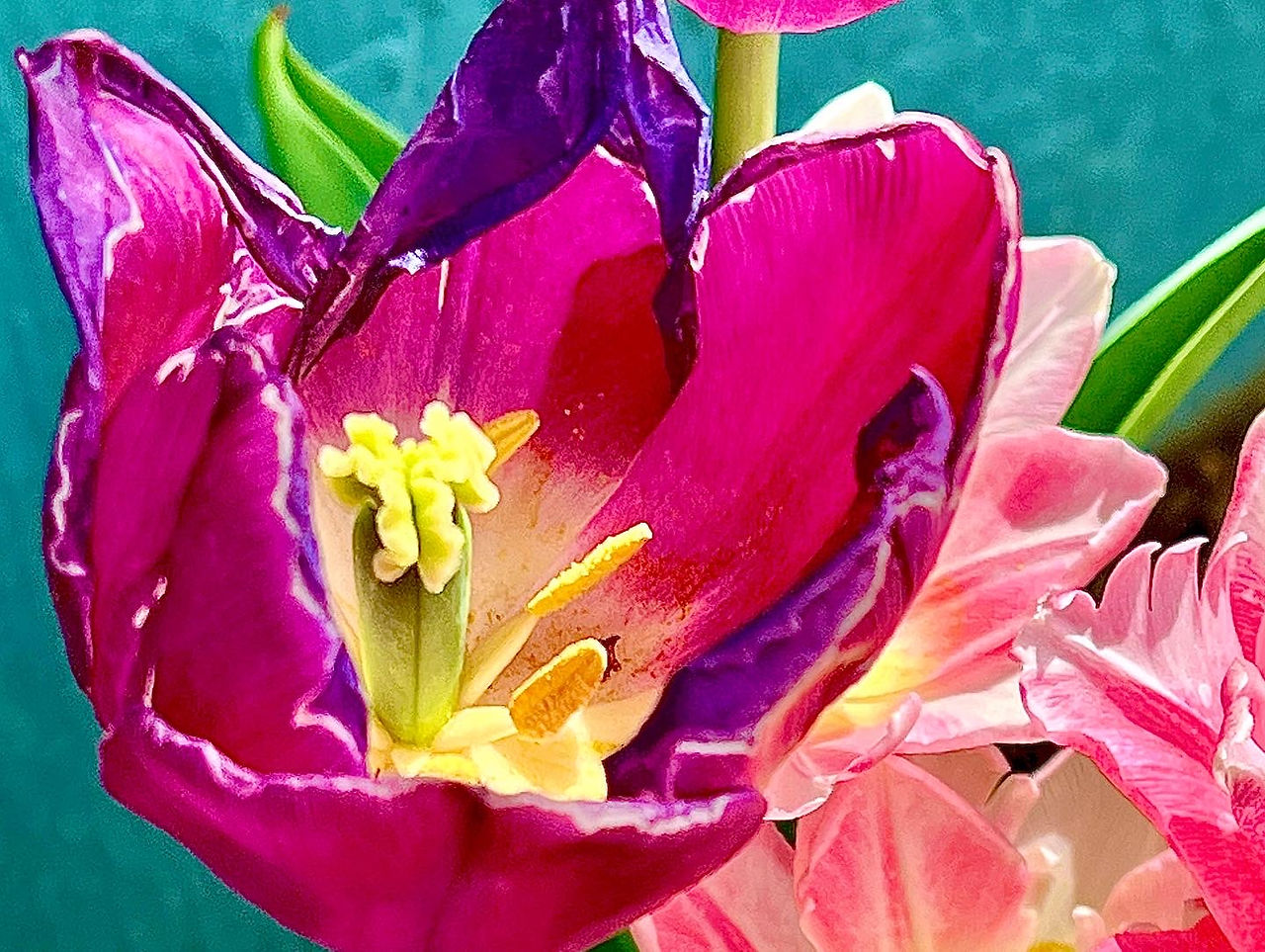 Flowers on our farm