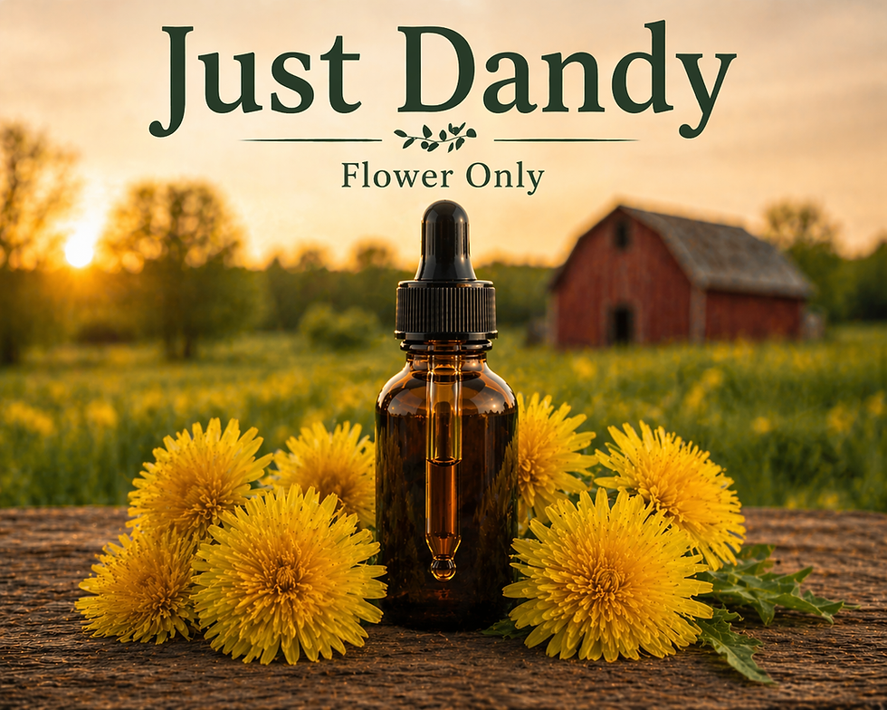 Thumbnail: Just Dandy • Wildcrafted Dandelion Extract