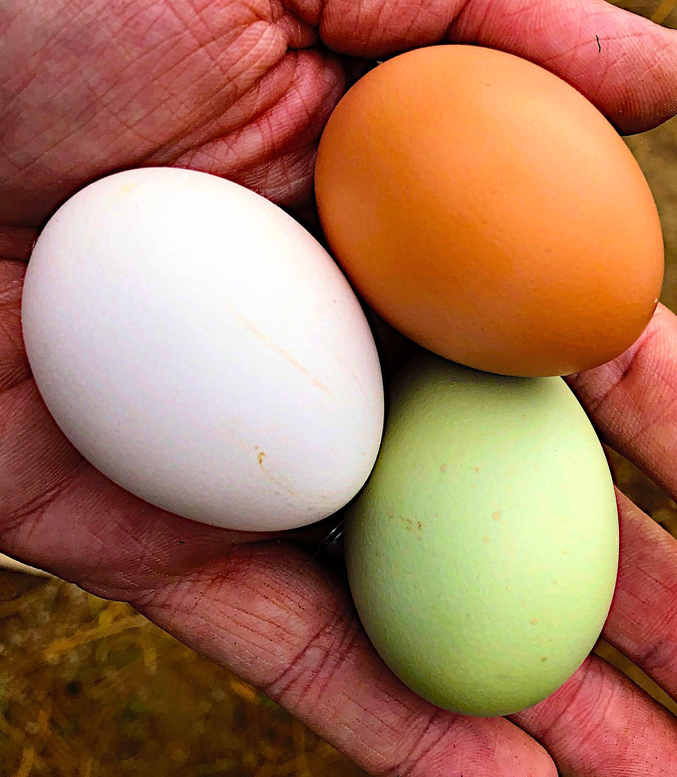 Thumbnail: Free-Range Chicken Eggs (Dozen)
