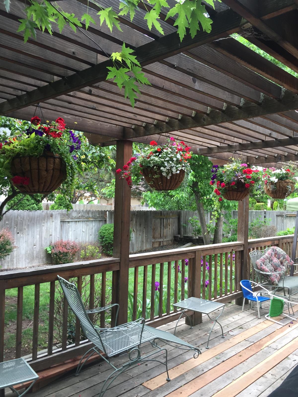 Hanging Baskets