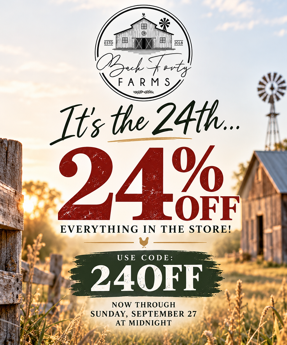 ENJOY 24% OFF EVERYTHING!