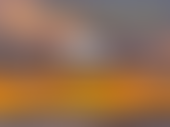 Back Forty Farms / February 2023