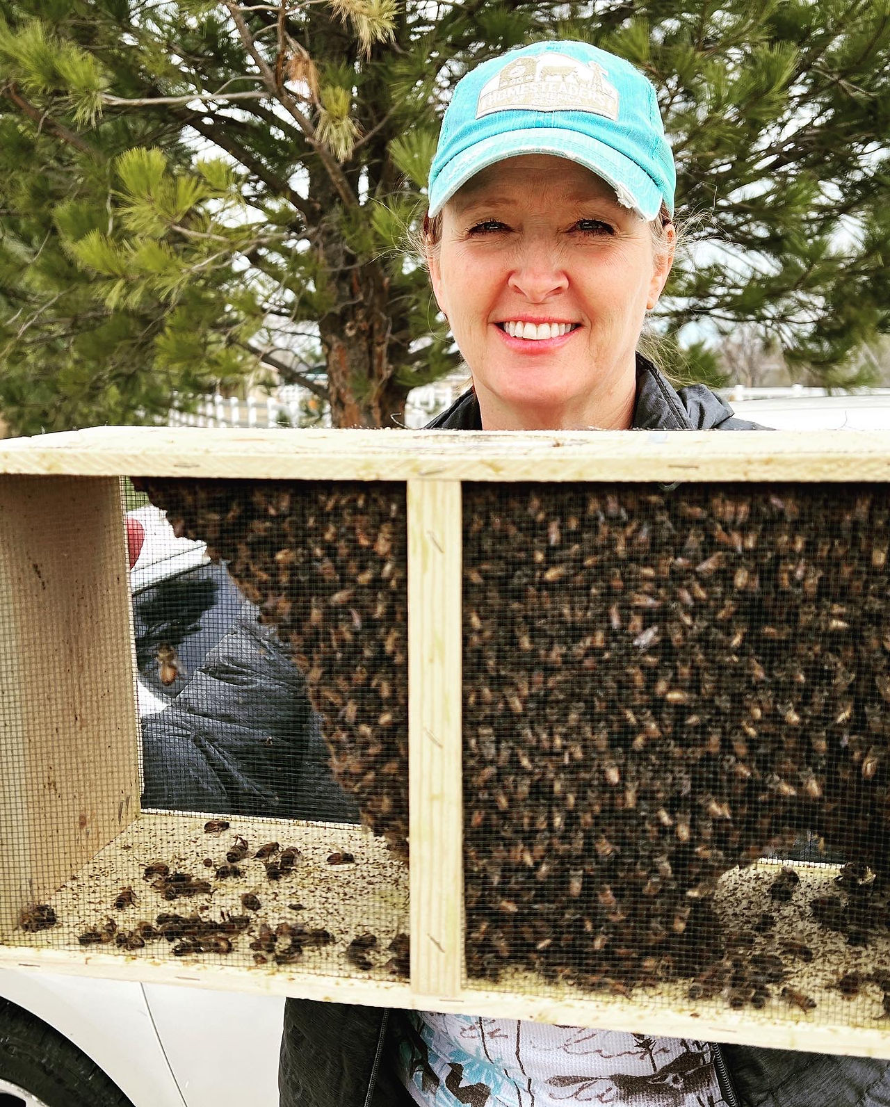 Our New Bees!