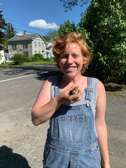 Sam Panken (they/them)