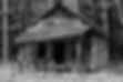 Item# S-1019 Old South .jpg