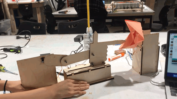 GIF image-D3F5F78ED38A-1.gif